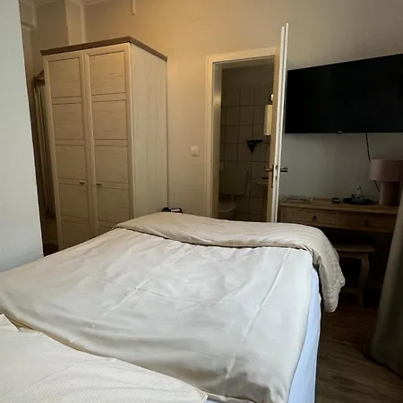 Goethe-haus Hotel 3*