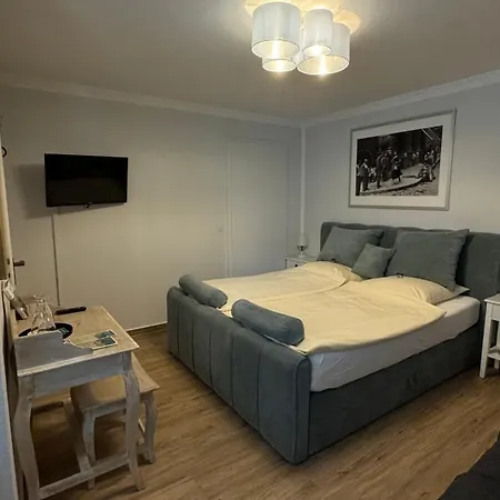 Goethe-haus Hotel 3*