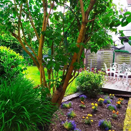 Otel Goethe Bad Pyrmont